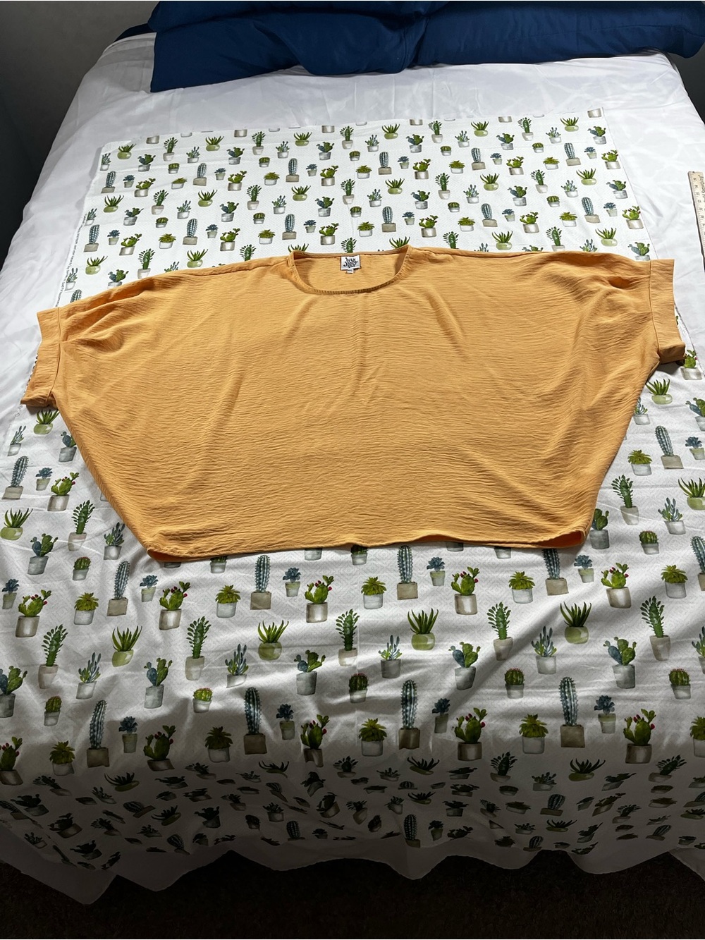 Ivy Jane Oversized Dolman Top Women’s size Medium/Large Peach Colored